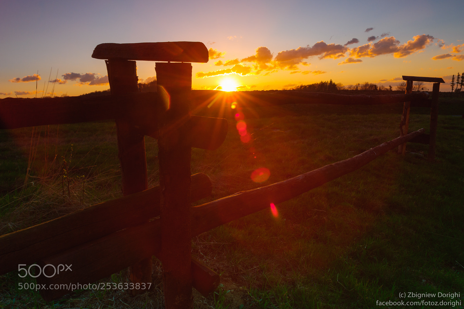 Nikon D700 sample photo. Last rays of sun photography