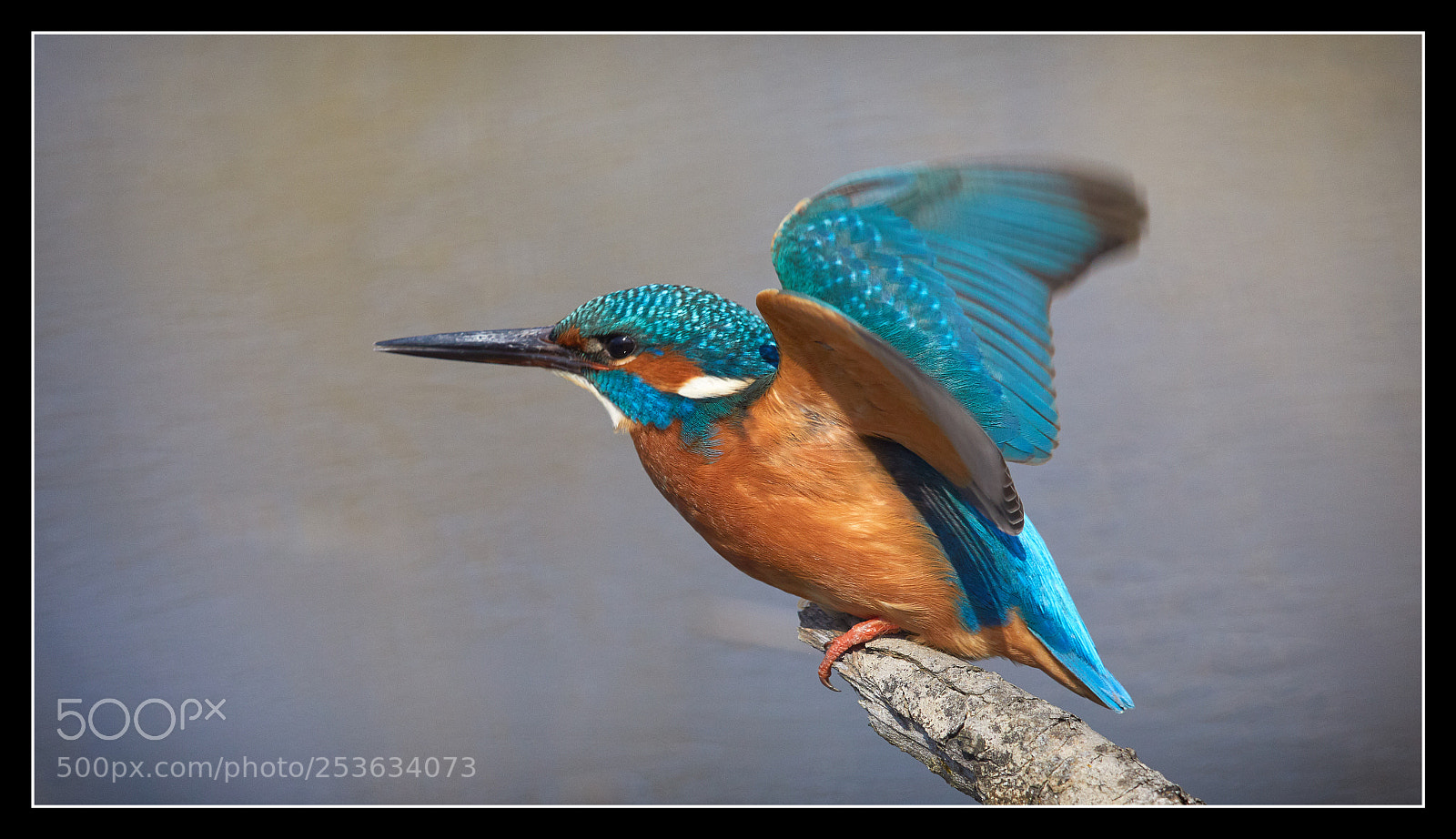 Canon EOS 5D Mark IV sample photo. Take off photography