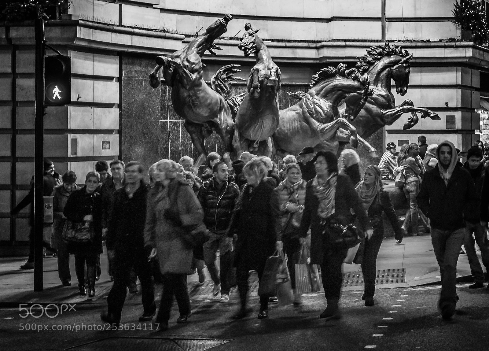 Nikon D300 sample photo. Horses and people. photography