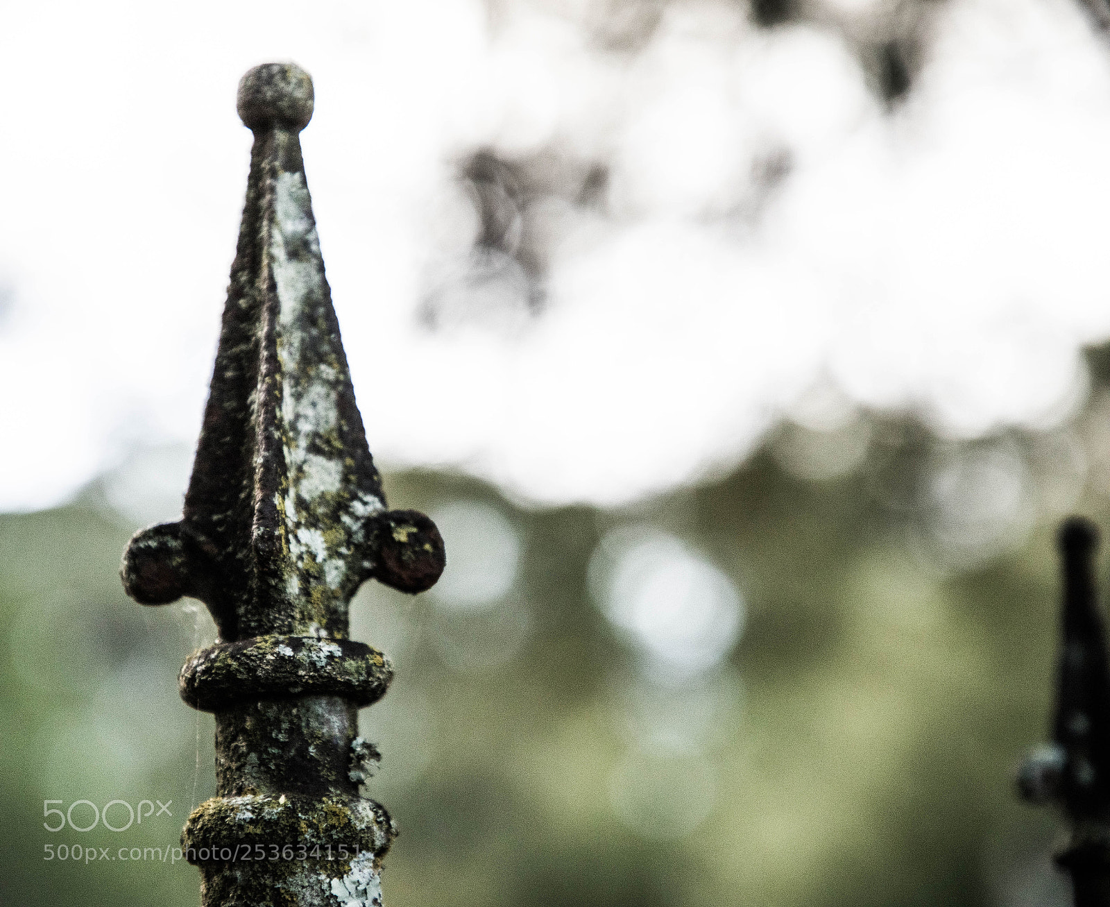 Canon EOS 5D Mark IV sample photo. 0a8a3071.jpg photography