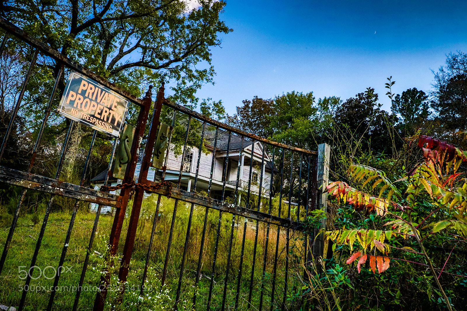 Canon EOS 5D Mark IV sample photo. 0a8a3154.jpg photography