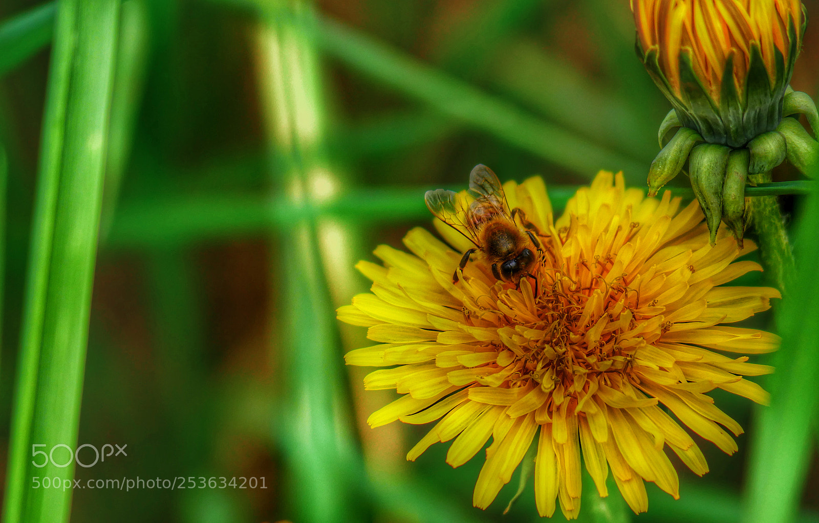 Panasonic Lumix DMC-GX85 (Lumix DMC-GX80 / Lumix DMC-GX7 Mark II) sample photo. ??... photography
