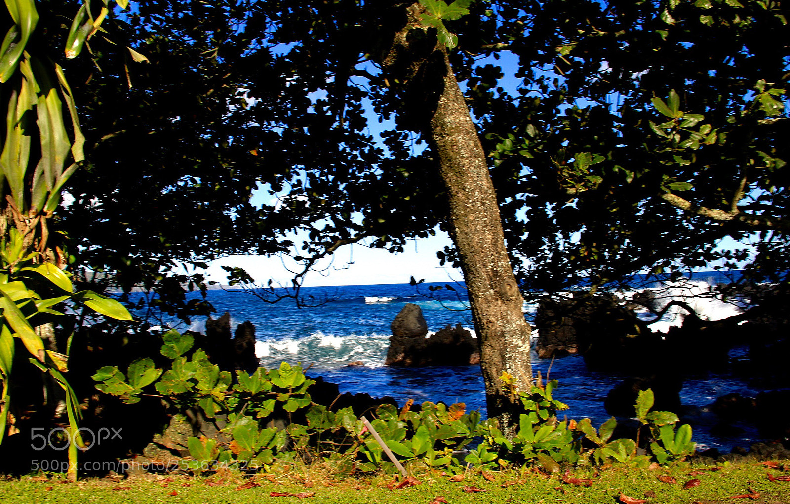 Canon EOS 60D sample photo. Untitled photography