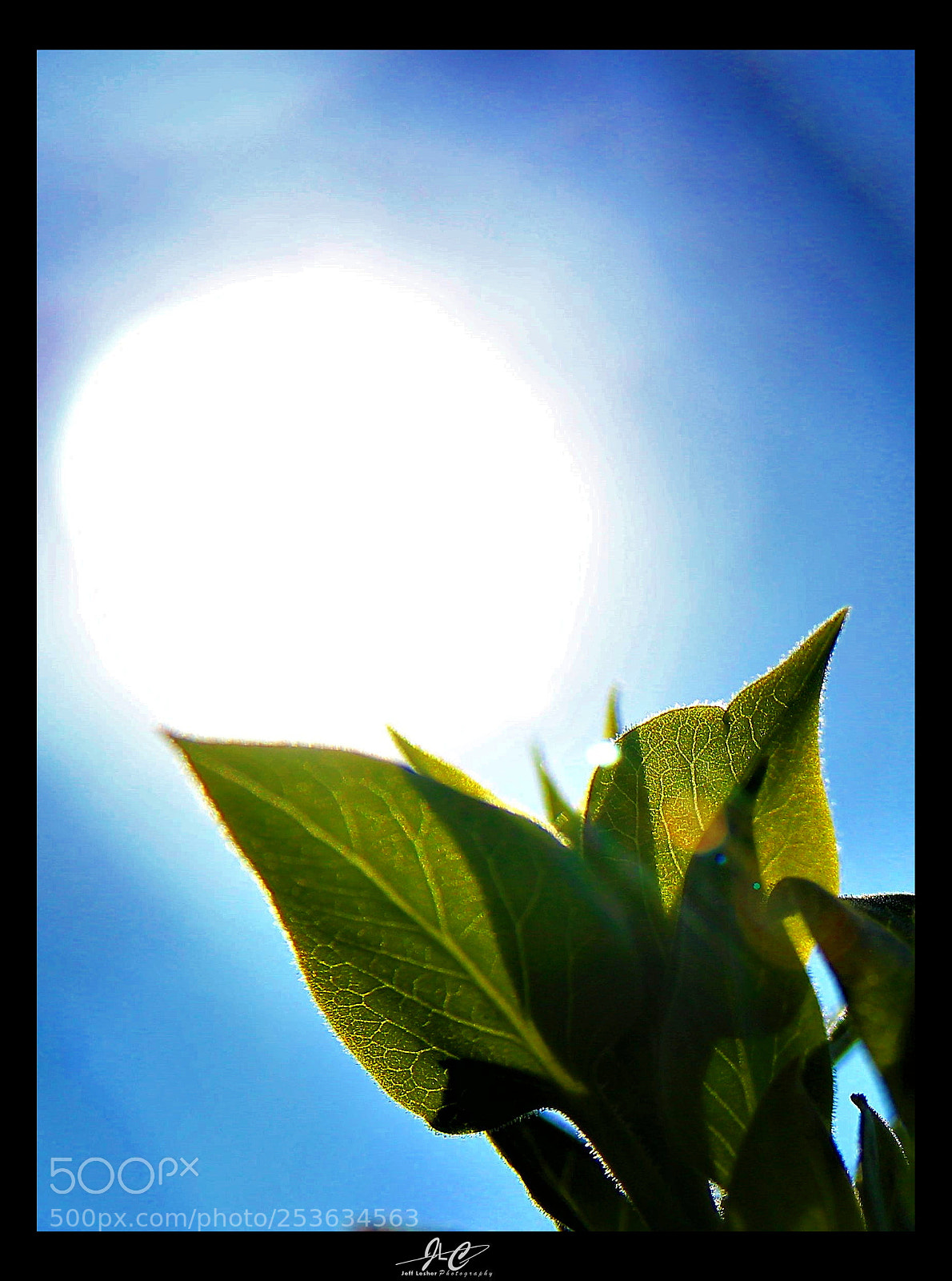Canon EOS 1300D (EOS Rebel T6 / EOS Kiss X80) sample photo. A new beginning photography