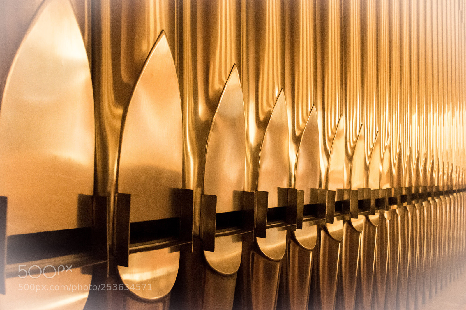 Nikon D5200 sample photo. Golden organ photography