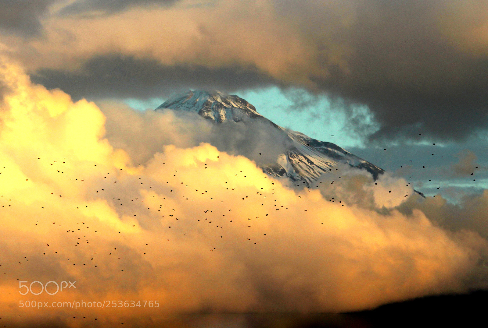 Canon EOS 700D (EOS Rebel T5i / EOS Kiss X7i) sample photo. Birds, clouds and snowy photography