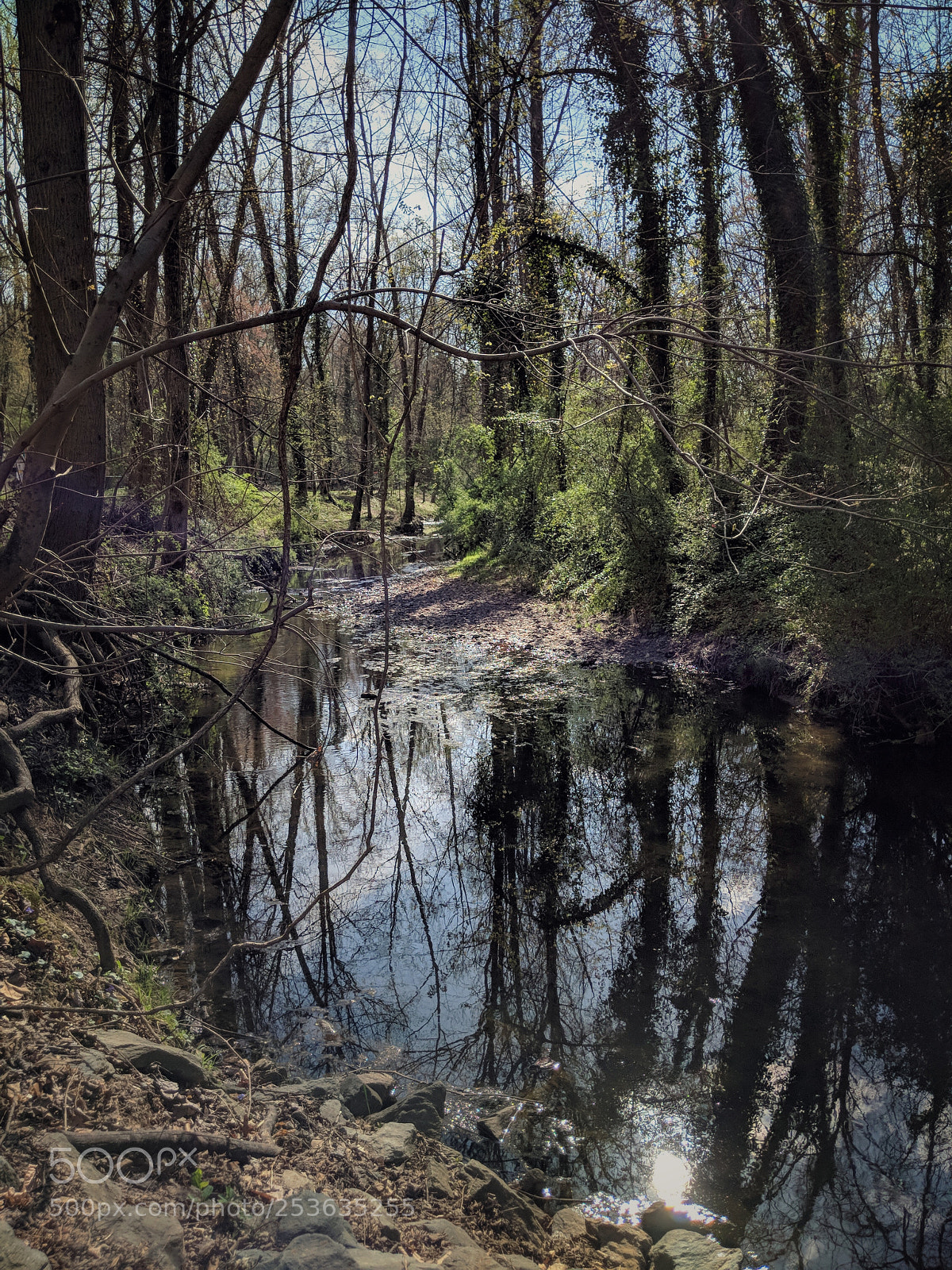 Google Pixel 2 sample photo. Meadow creek photography
