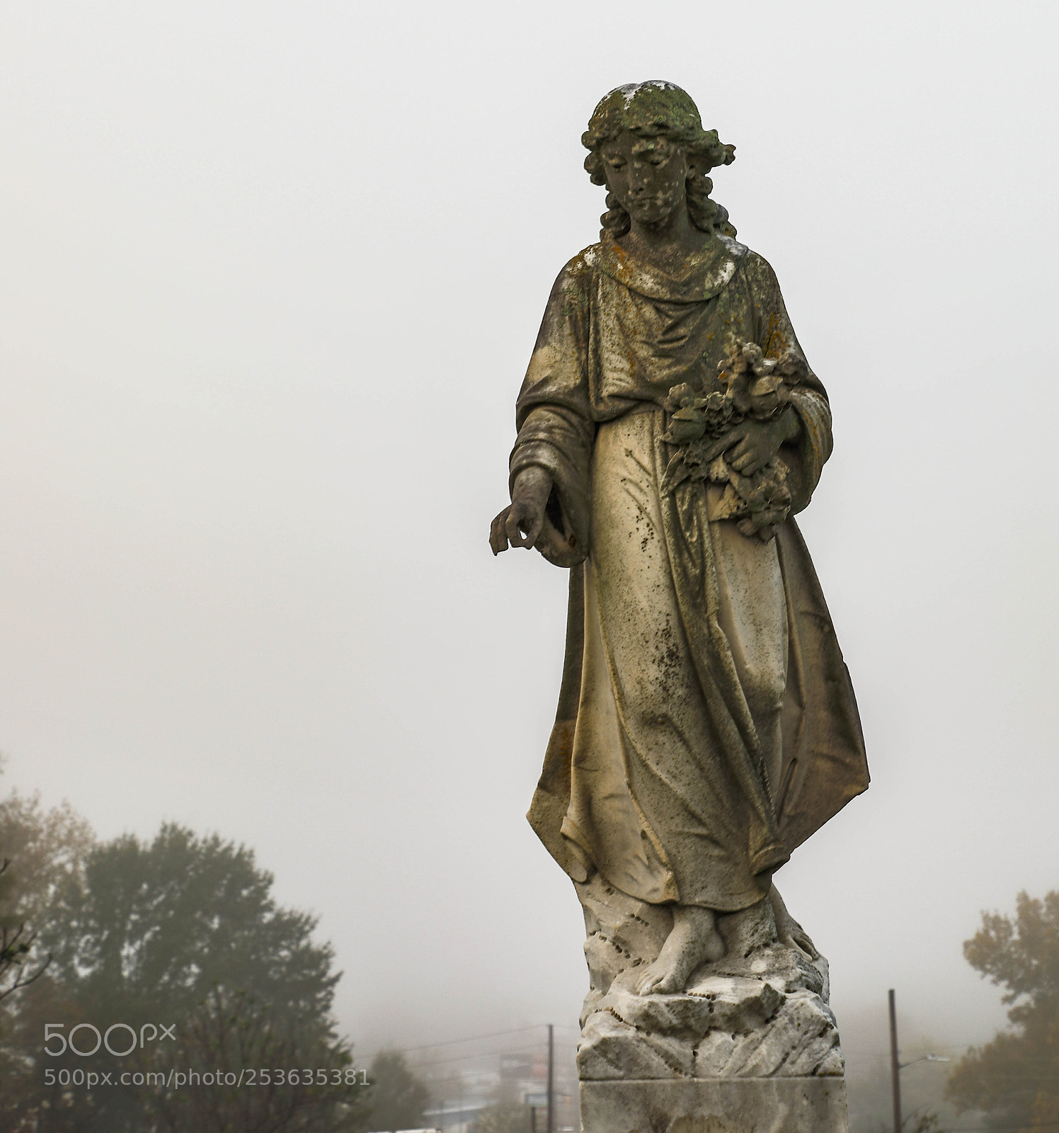 Canon EOS 5D Mark IV sample photo. 0a8a3446.jpg photography