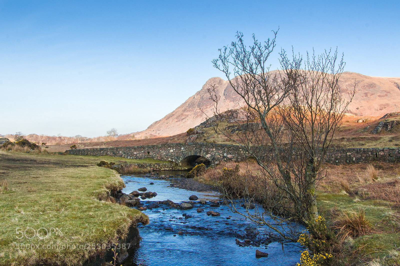 Canon EOS 700D (EOS Rebel T5i / EOS Kiss X7i) sample photo. Morning by the bridge photography