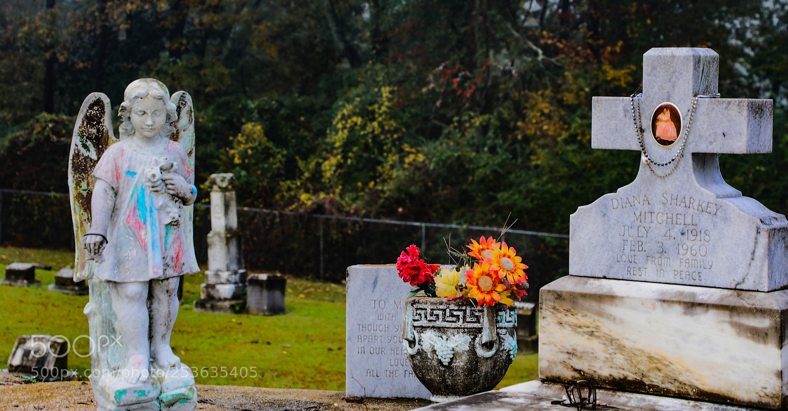 Canon EOS 5D Mark IV sample photo. 0a8a3457.jpg photography
