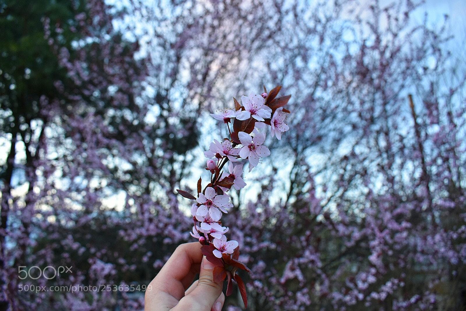 Nikon D3400 sample photo. Untitled photography