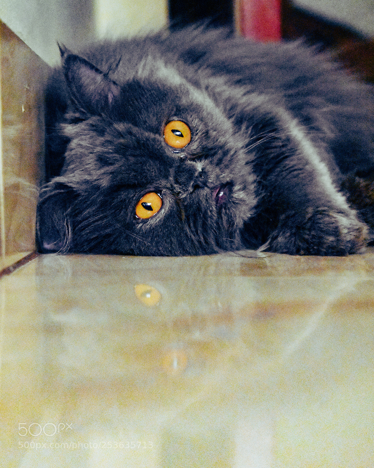 Nikon D3400 sample photo. Reflections photography