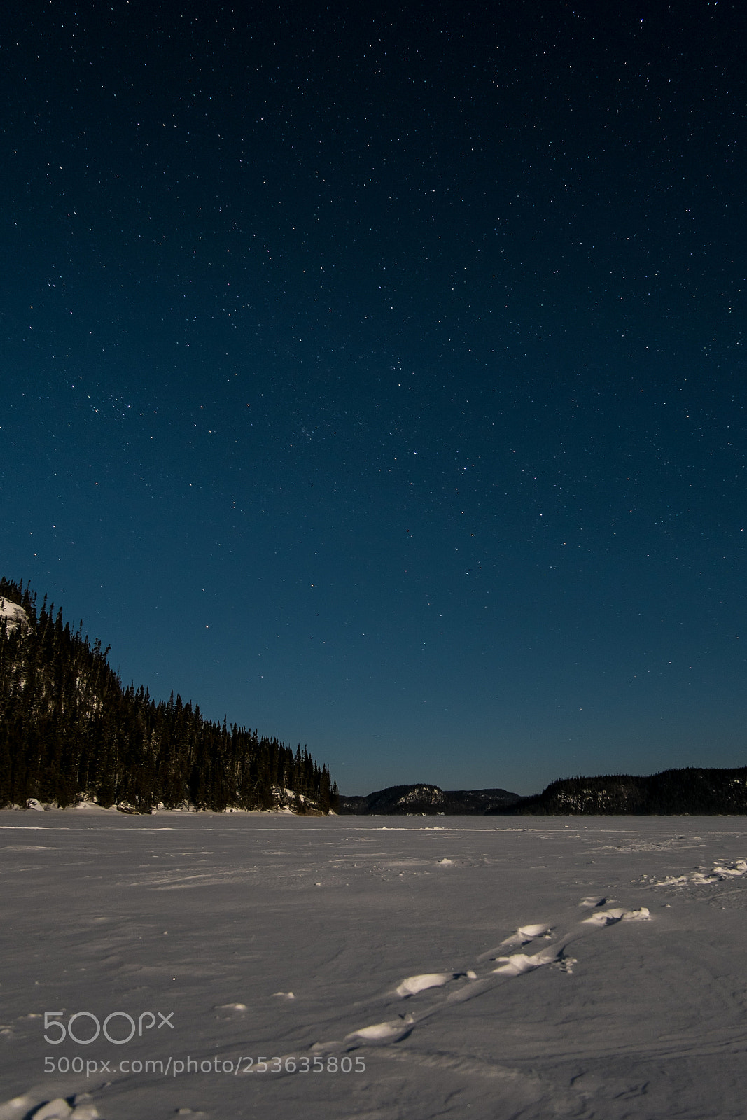 Fujifilm X-E1 sample photo. A sky full of photography