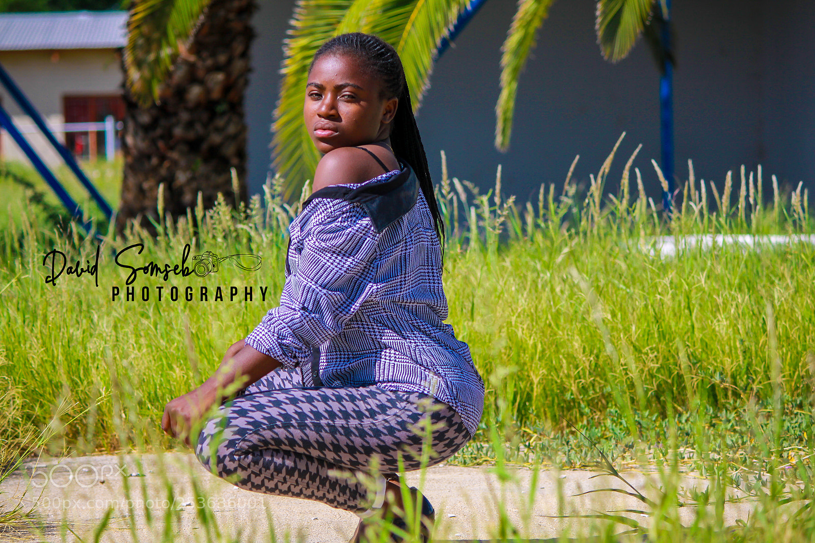 Canon EOS 50D sample photo. Img photography