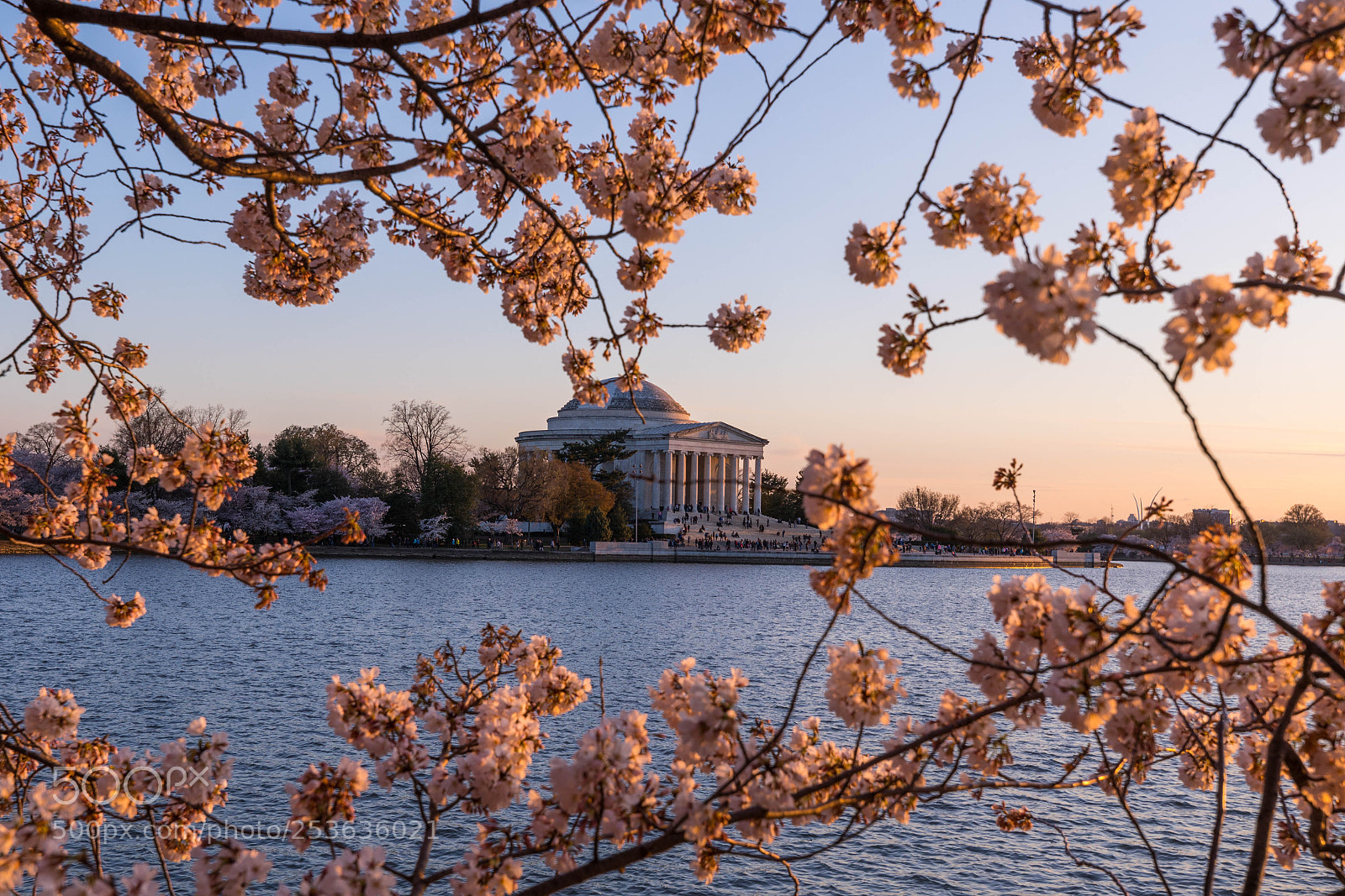 Canon EOS 5D Mark IV sample photo. Thomas jefferson memorial photography