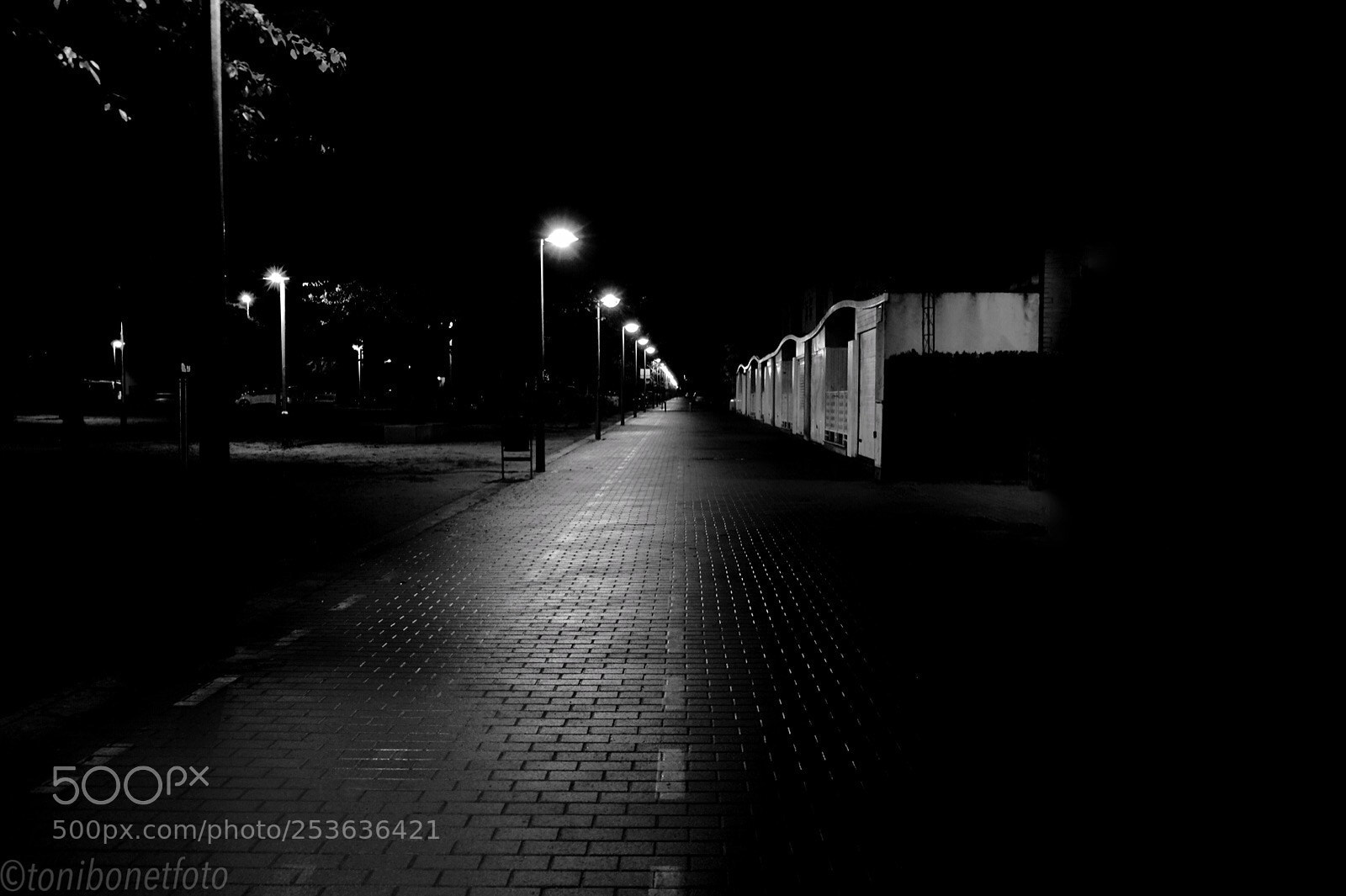 Fujifilm X-Pro1 sample photo. Untitled photography