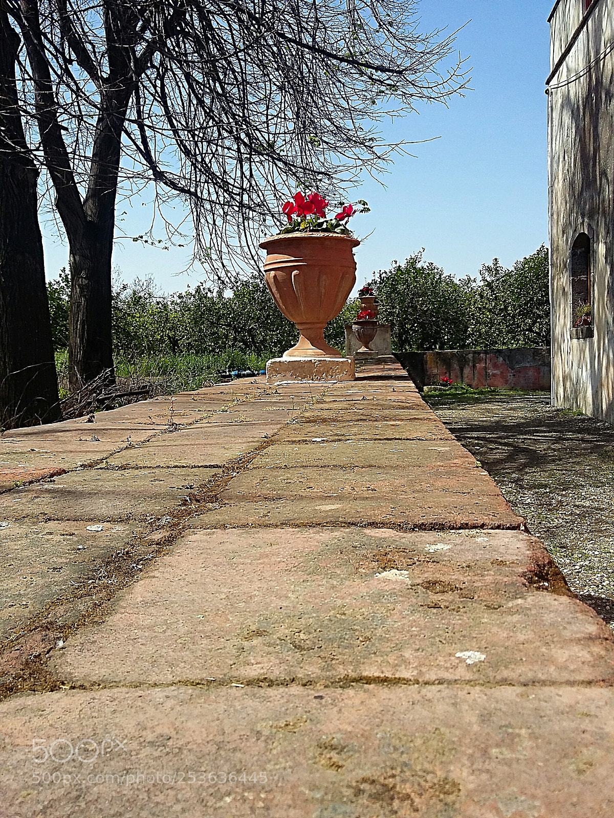 Samsung Galaxy Grand Prime sample photo. Exterior of an old photography