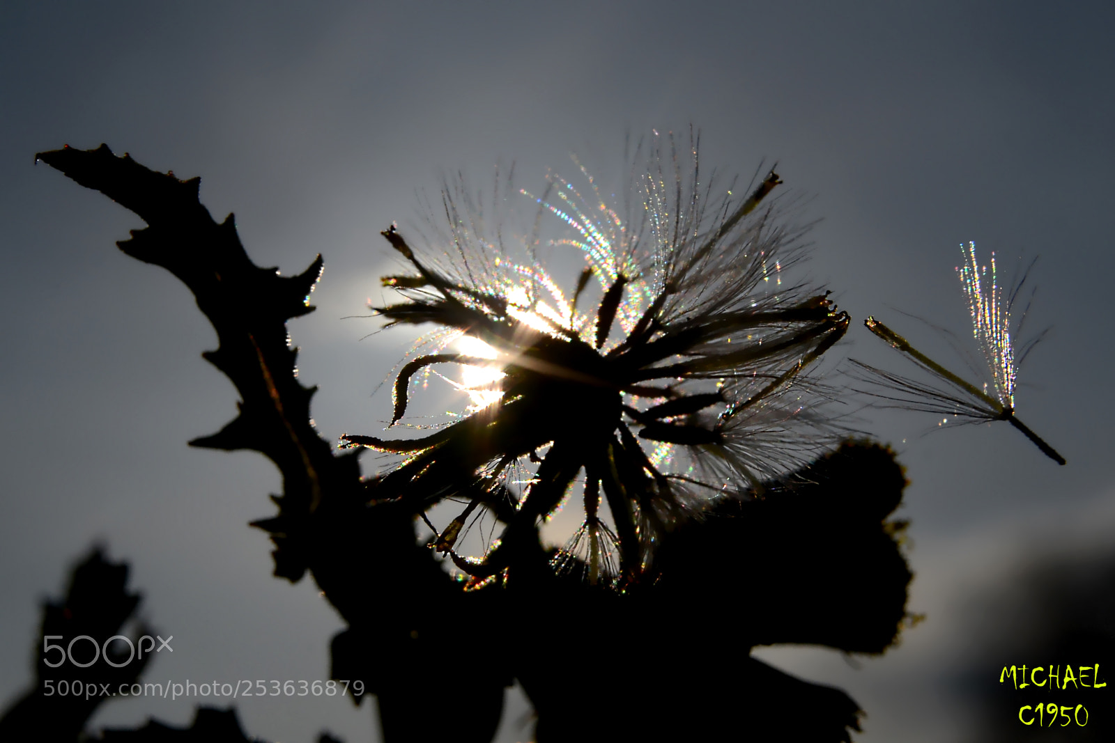Nikon D3100 sample photo. The departure lounge photography
