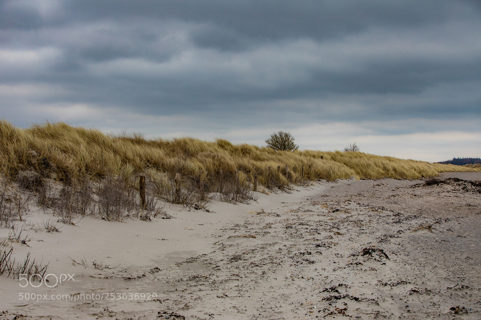 Canon EOS 5D Mark IV sample photo. Dune photography
