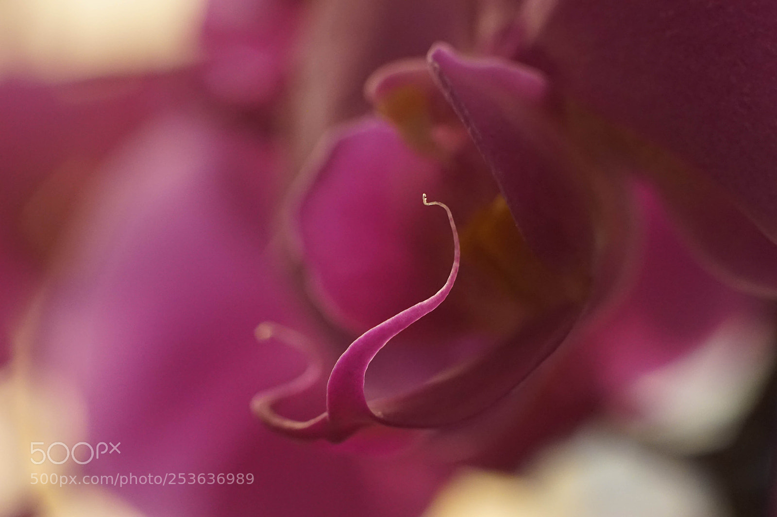 Sony a7R sample photo. Untitled #74 photography