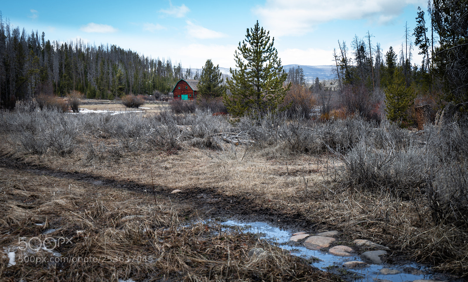 Sony a7R II sample photo. Coming up to double photography