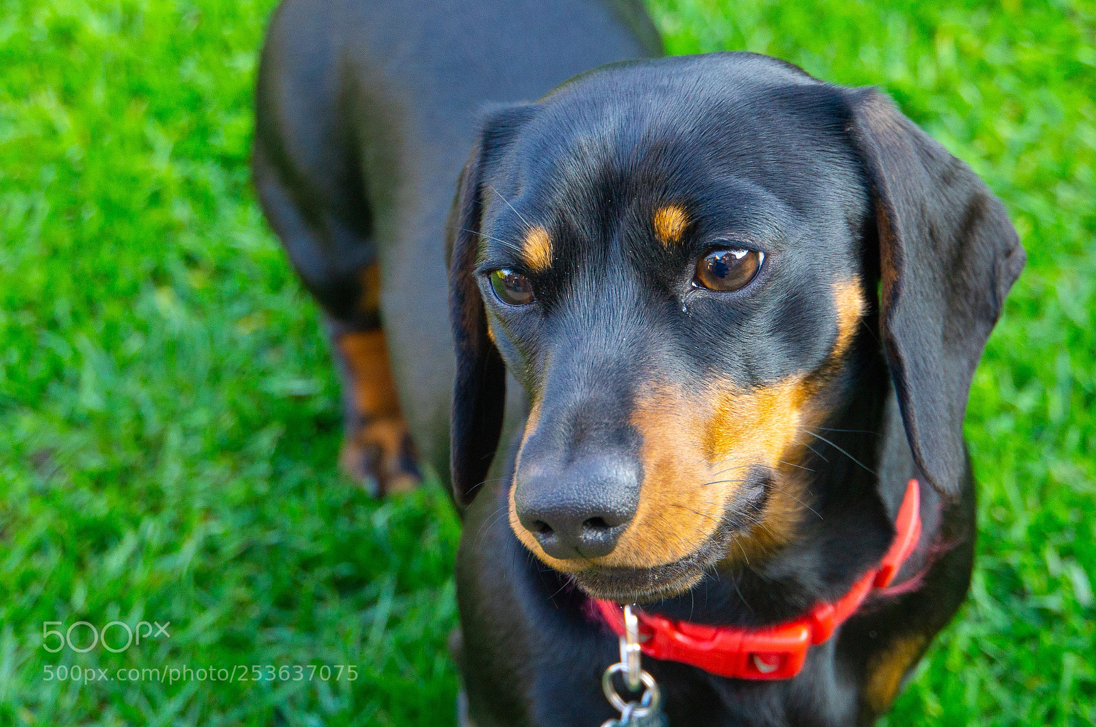 Sony a6000 sample photo. Cecil photography