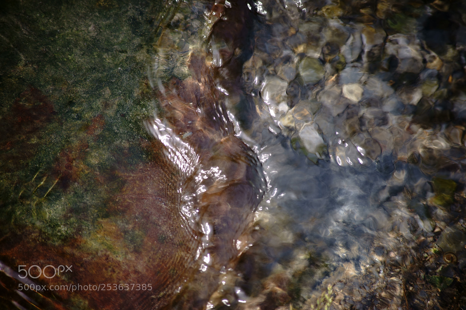 Sony a7 II sample photo. Clear creek water with photography