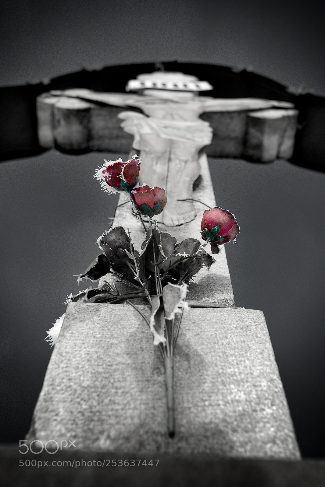 Nikon D7100 sample photo. Untitled photography