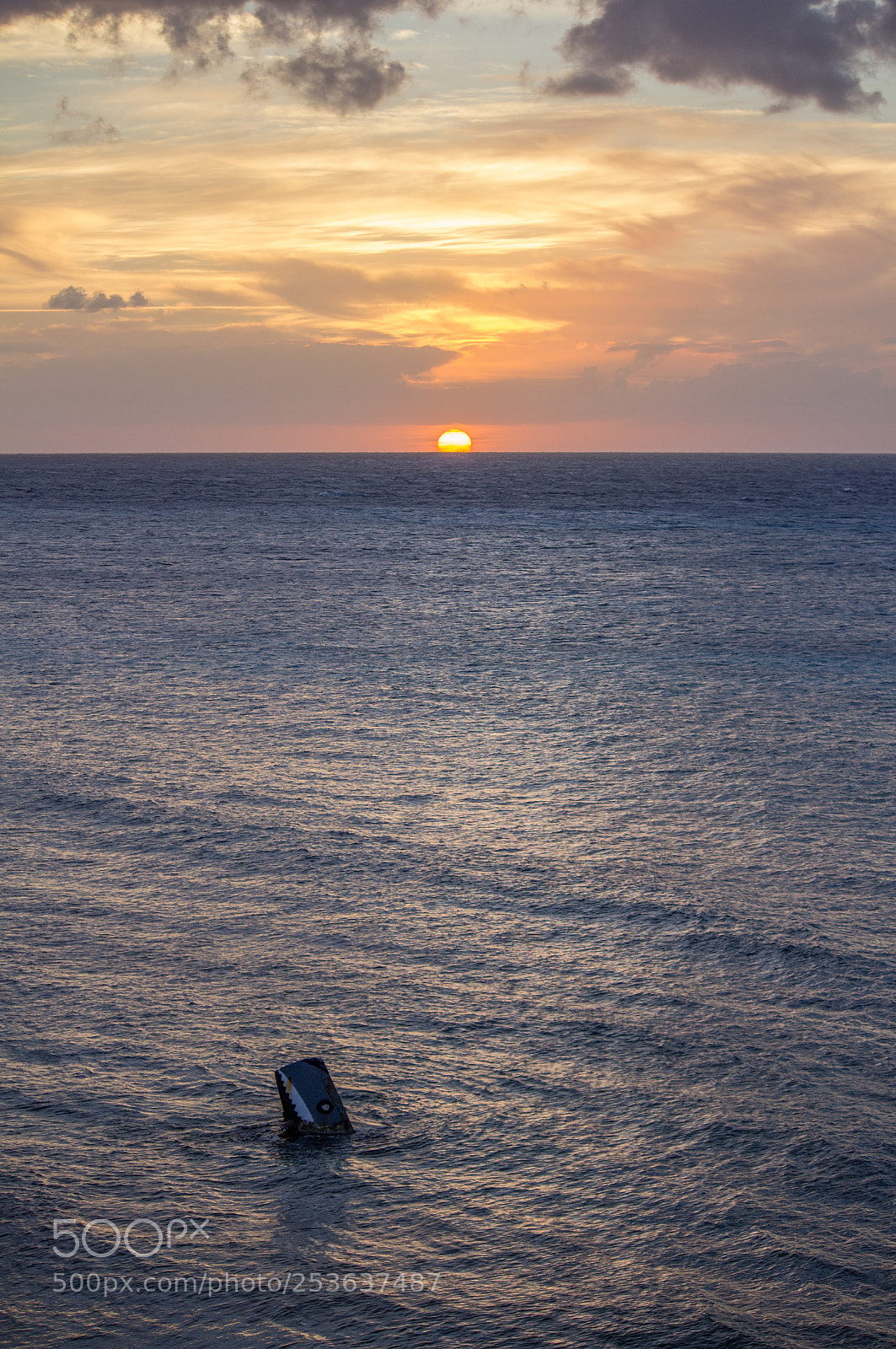 Canon EOS 600D (Rebel EOS T3i / EOS Kiss X5) sample photo. Shark at red hour photography