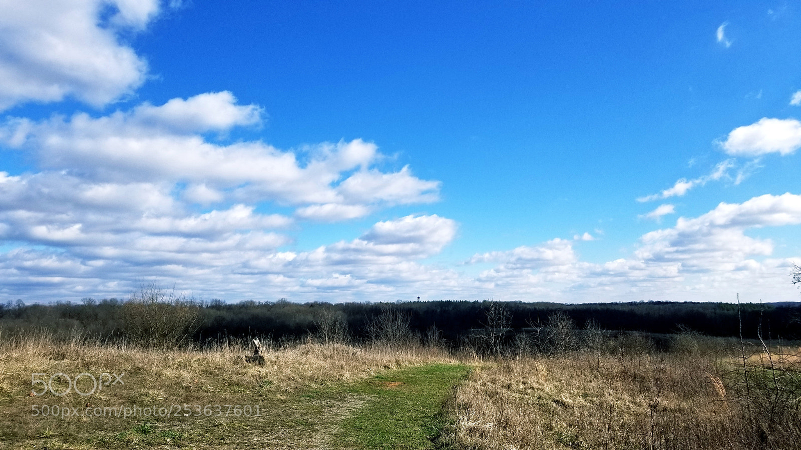 Samsung Galaxy S8 sample photo. A nice day photography