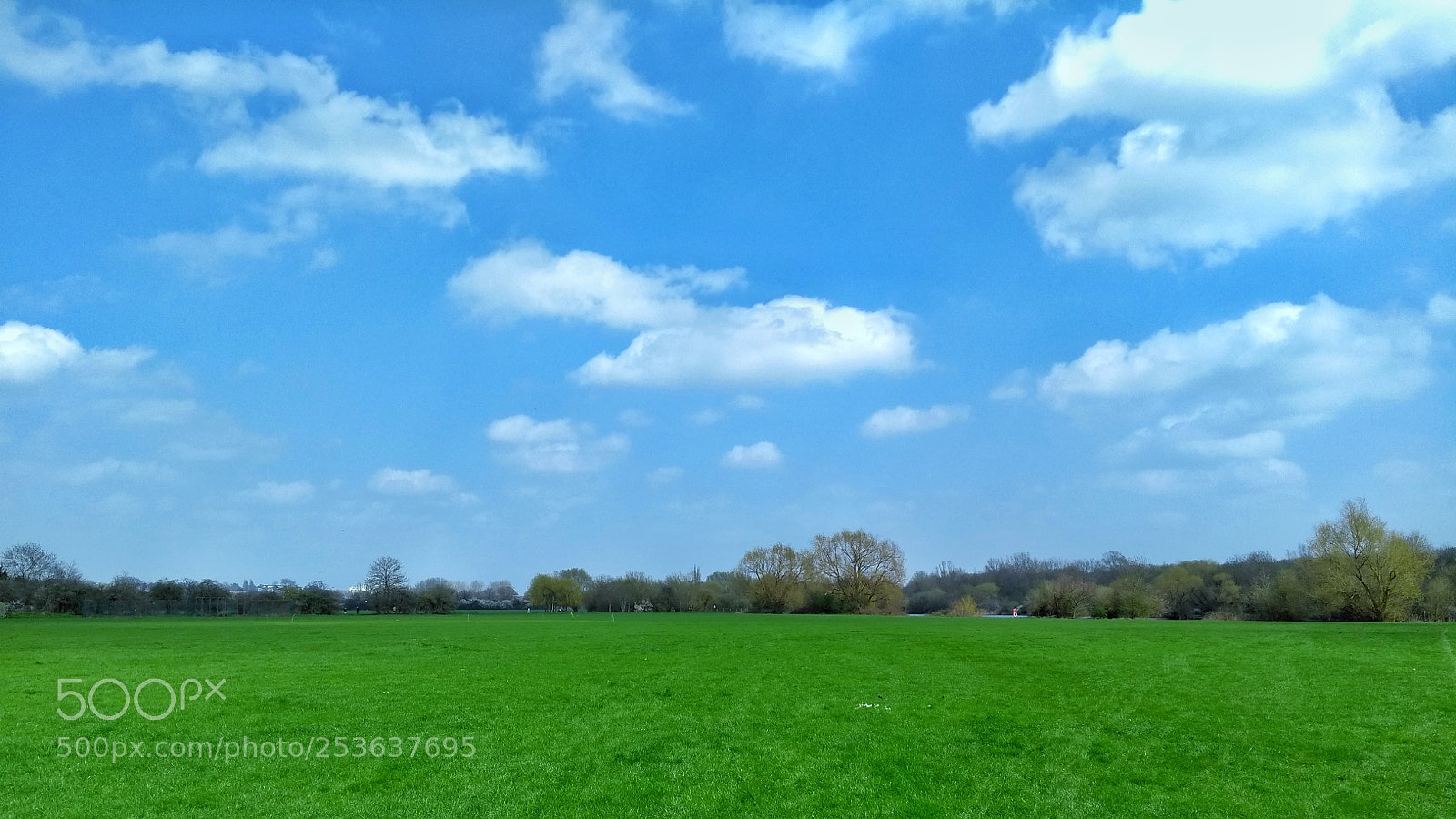 Motorola Moto G (5th Gen) sample photo. Walk on the park photography