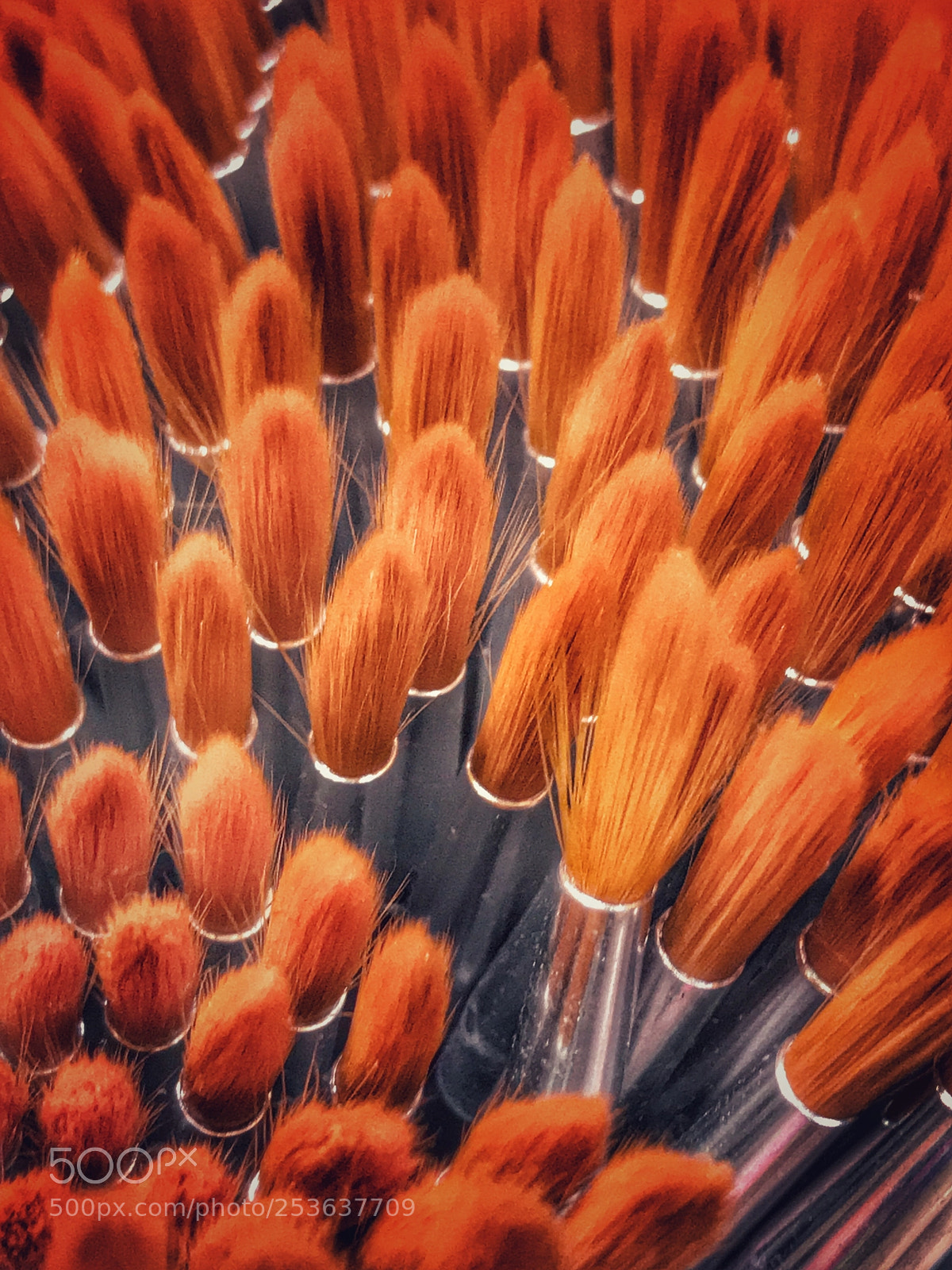 Apple iPhone 7 Plus sample photo. Paint brushes photography