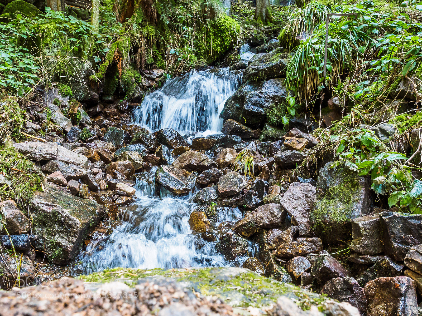 Olympus OM-D E-M1 sample photo. Burgbach wasserfall photography