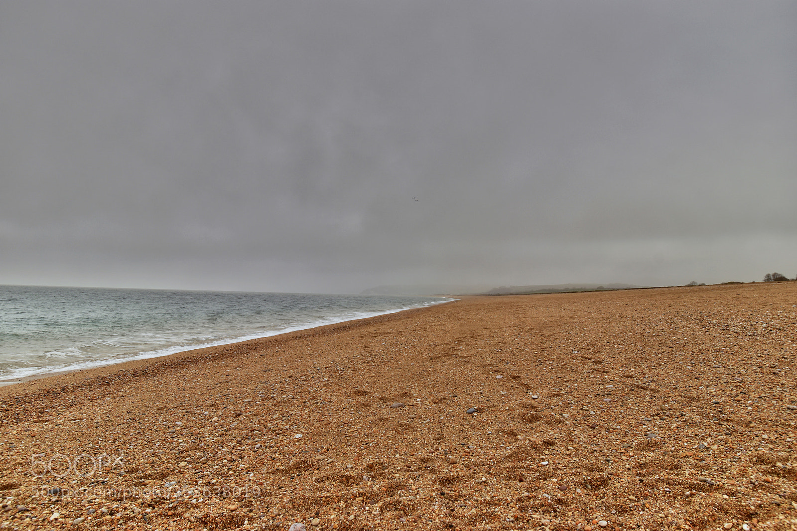 Nikon D5600 sample photo. Cloudy day at the photography