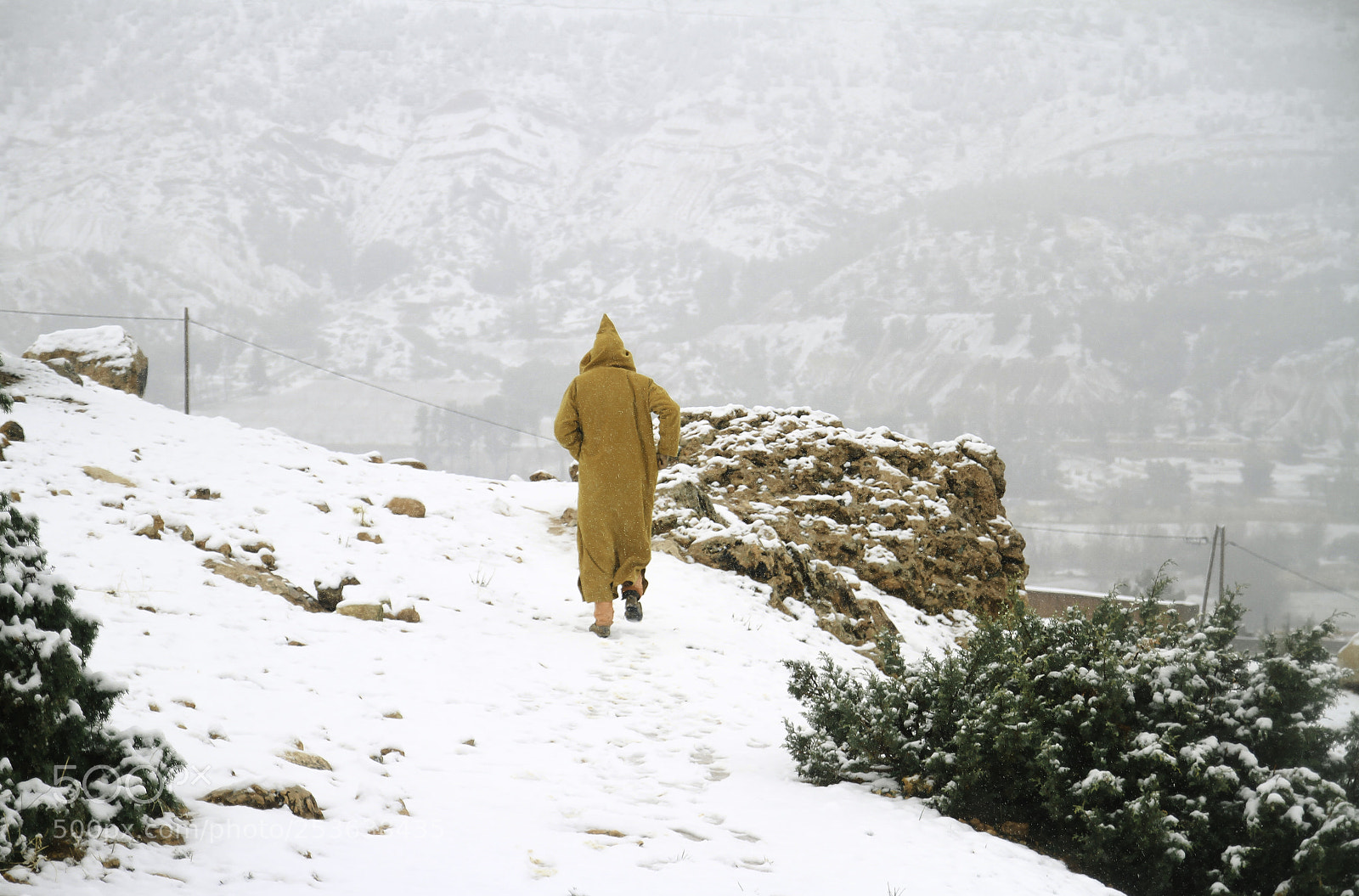Canon EOS 7D sample photo. Snow photography