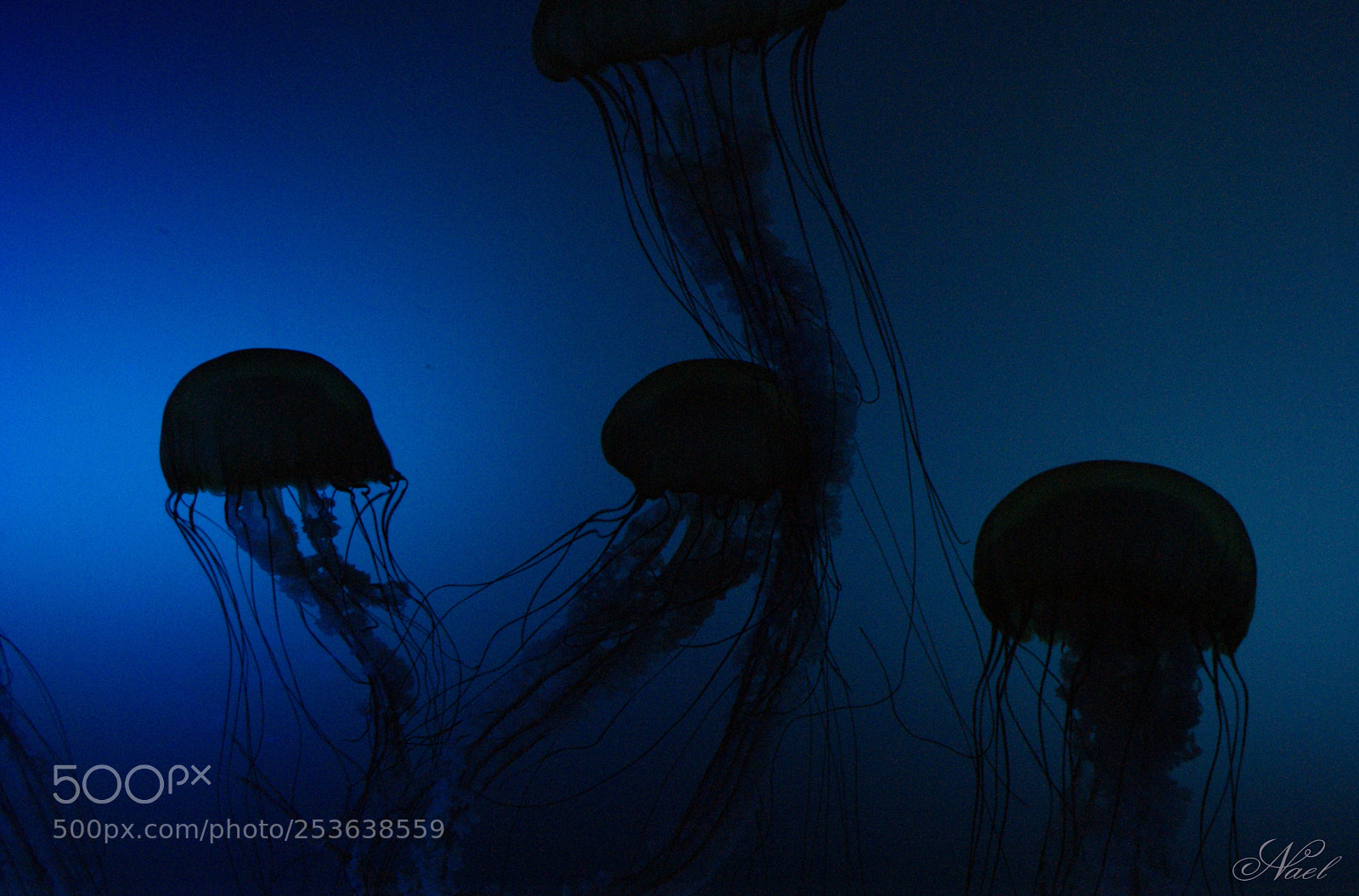 Sony DT 18-70mm F3.5-5.6 sample photo. Shadows of the ocean photography