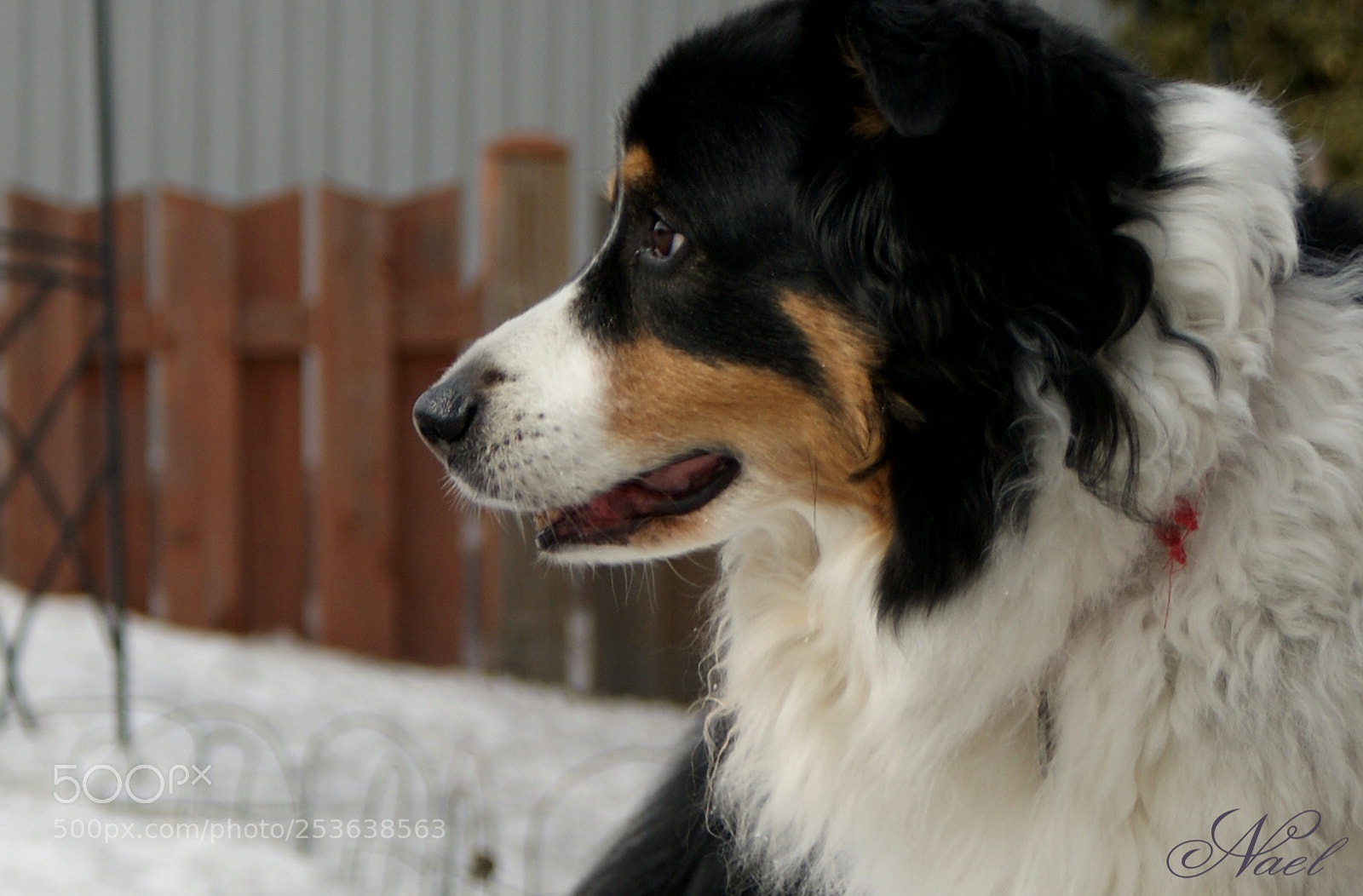 Sony Alpha DSLR-A200 sample photo. What's that? photography