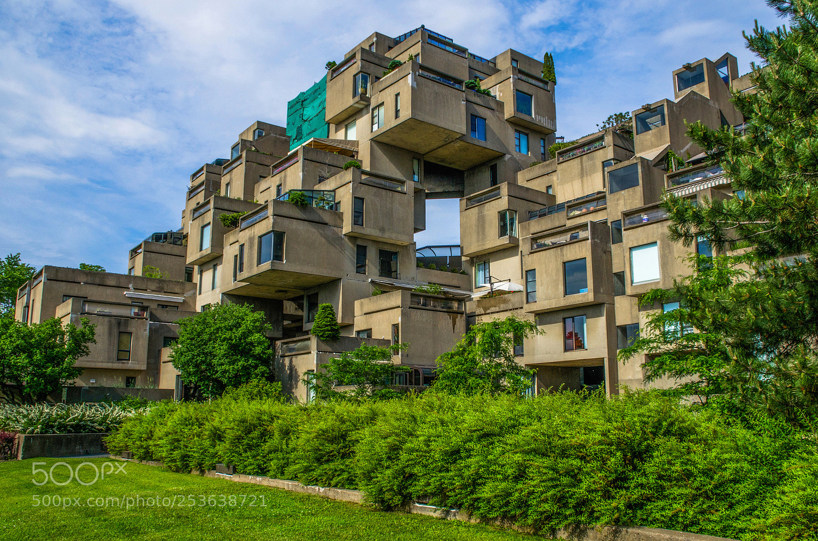 Nikon D7000 sample photo. Habitat photography
