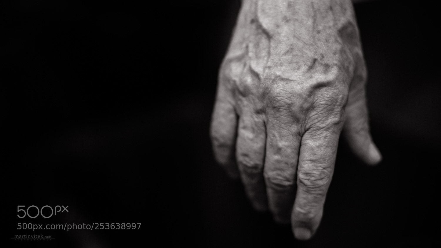 Fujifilm X-T2 sample photo. Viktor's secret photography