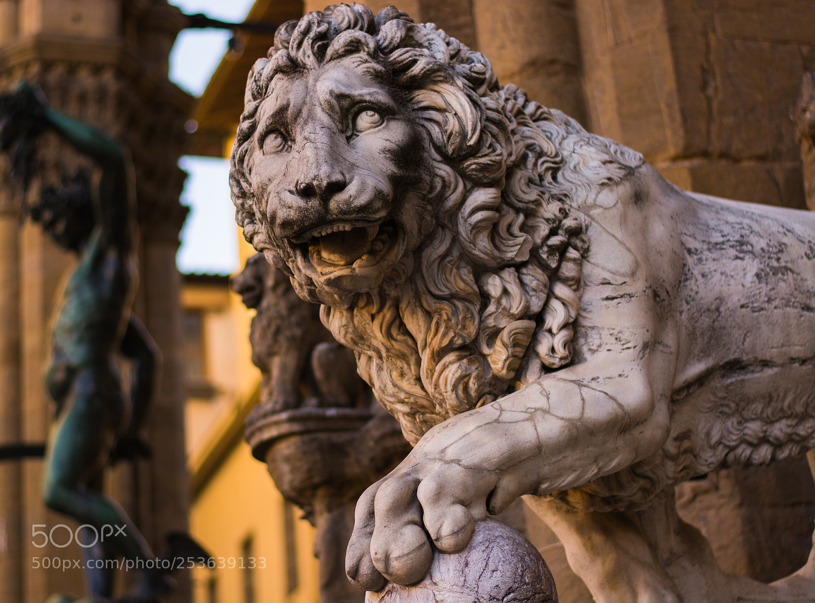 Nikon D7100 sample photo. Untitled photography