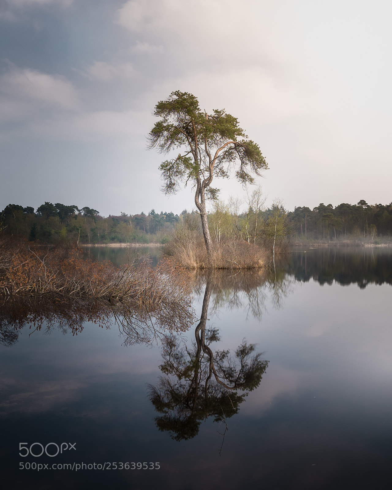 Sony a7R II sample photo. Standing strong photography