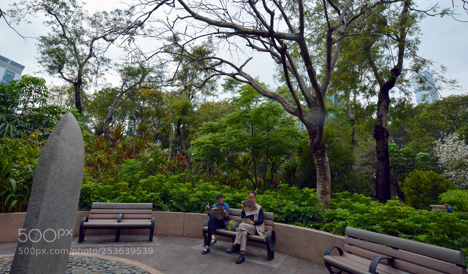 Nikon D7100 sample photo. Good morning hong kong photography