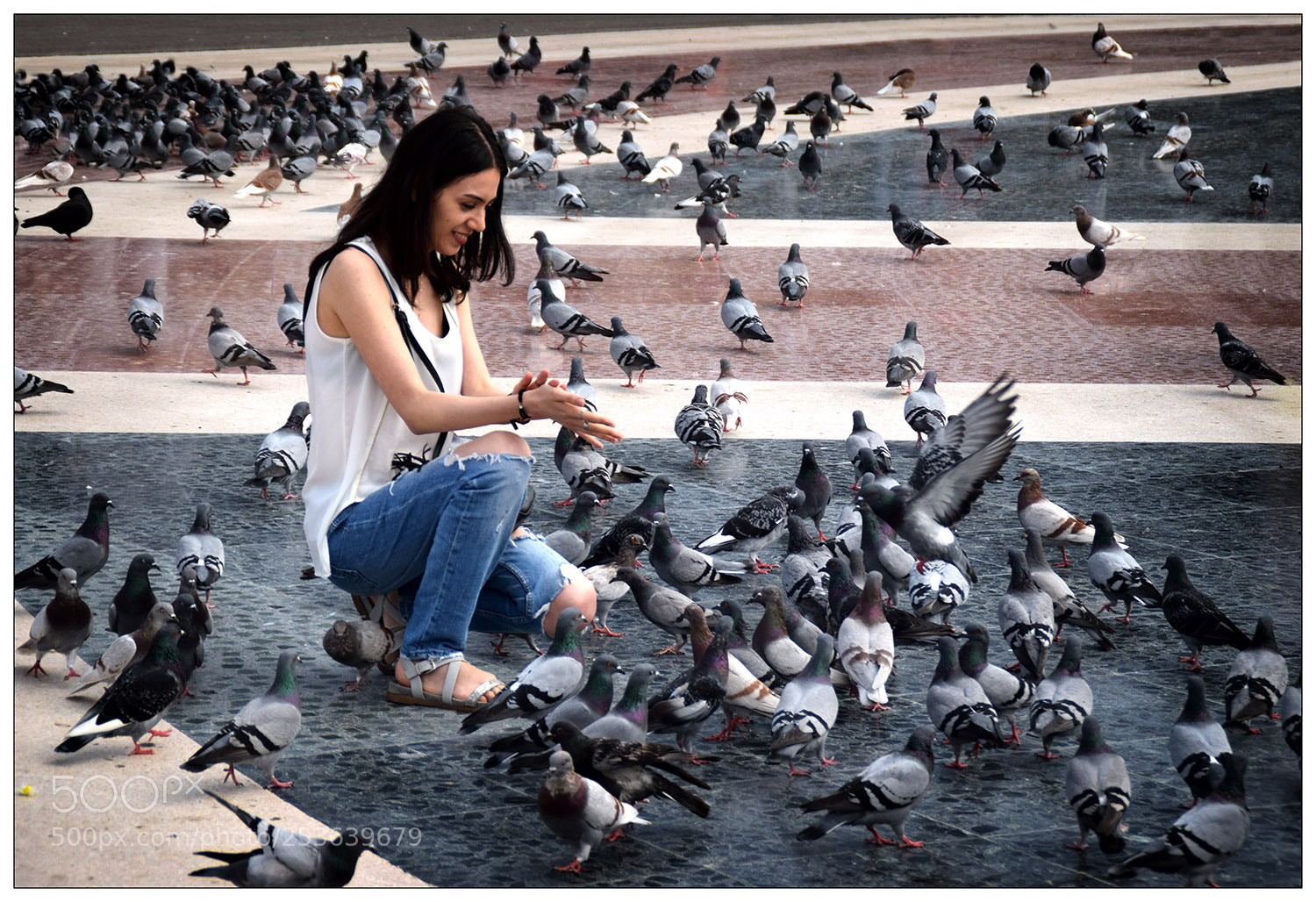 Nikon D5300 sample photo. Bird power photography