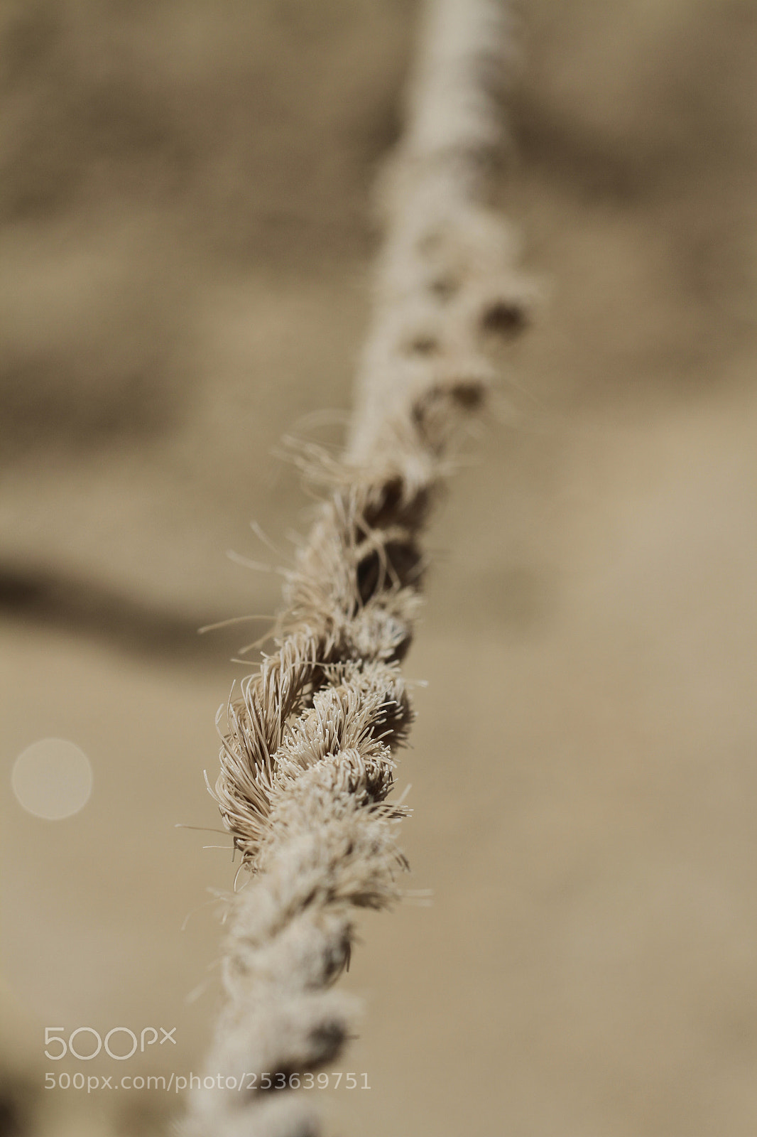 Canon EOS 7D sample photo. Tension photography