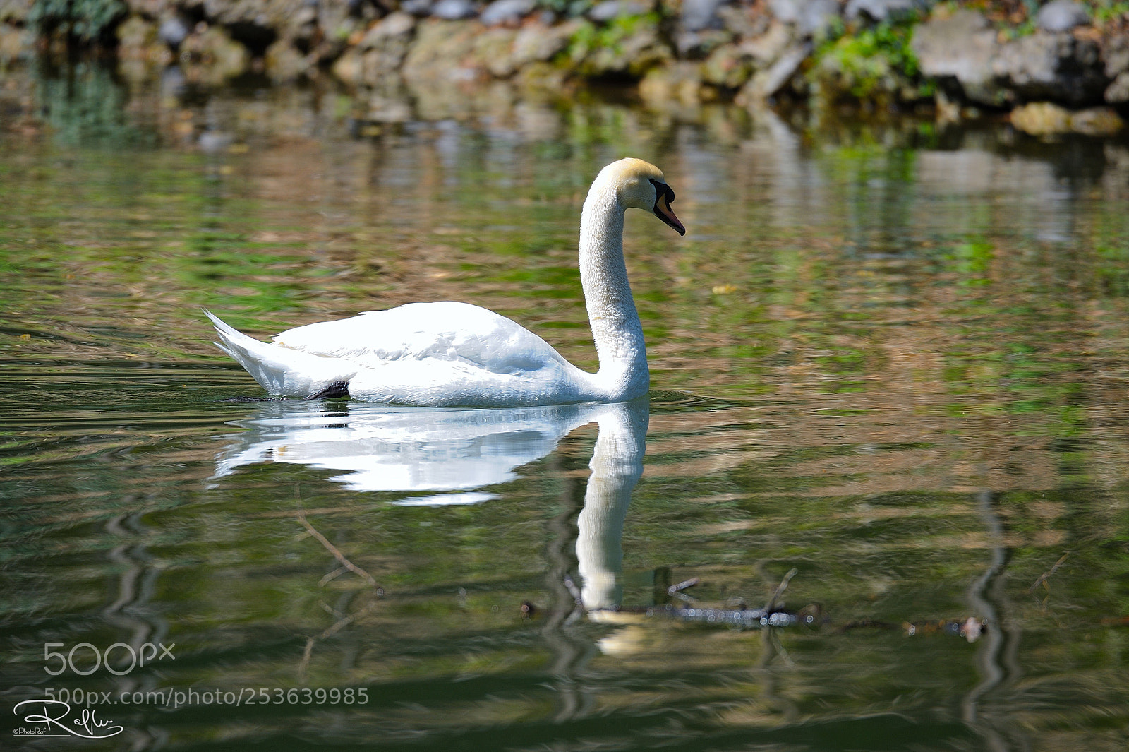 Nikon D3 sample photo. Giardini reali lake photography