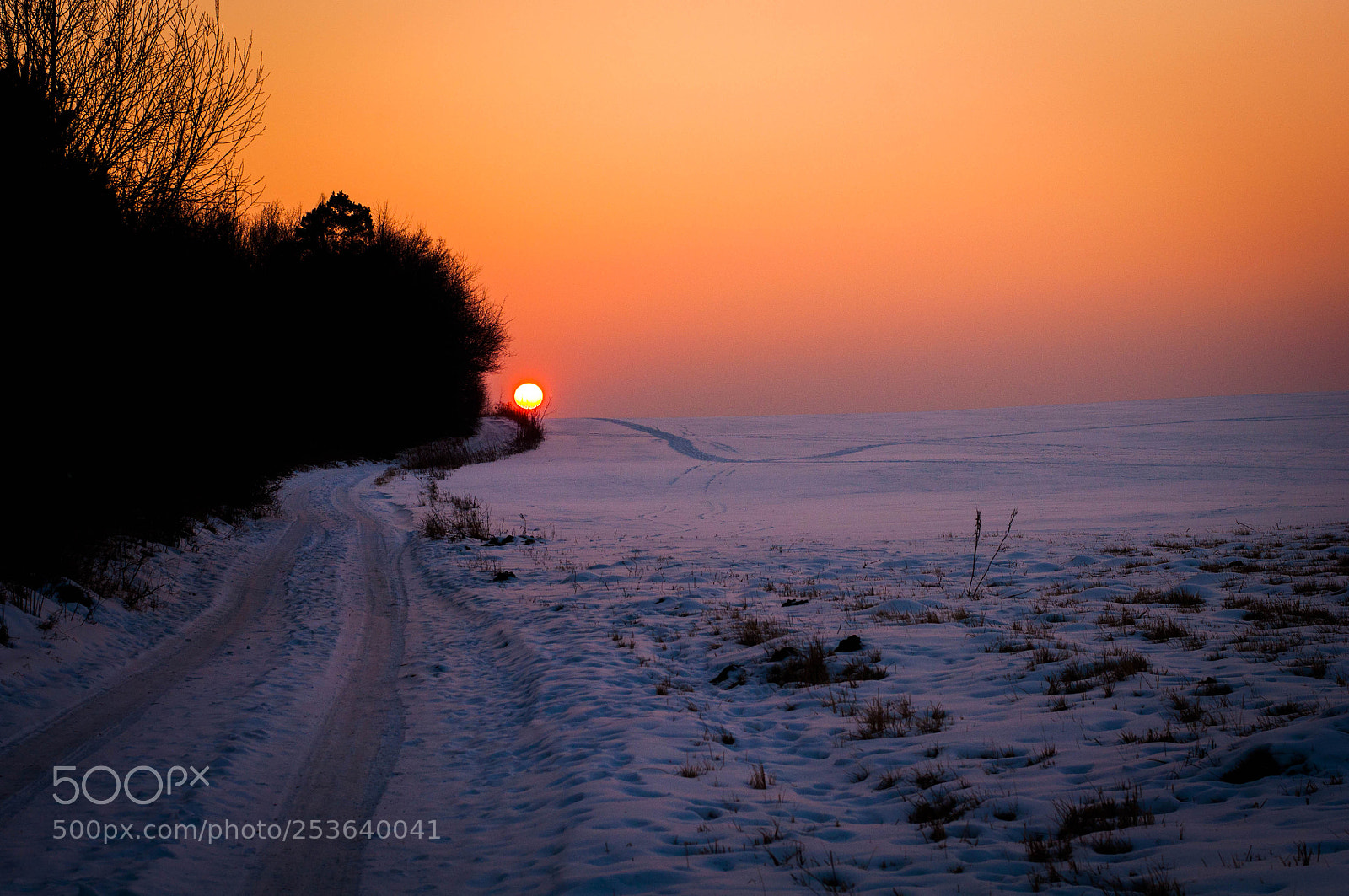 Nikon D5000 sample photo. Snowy sunset photography