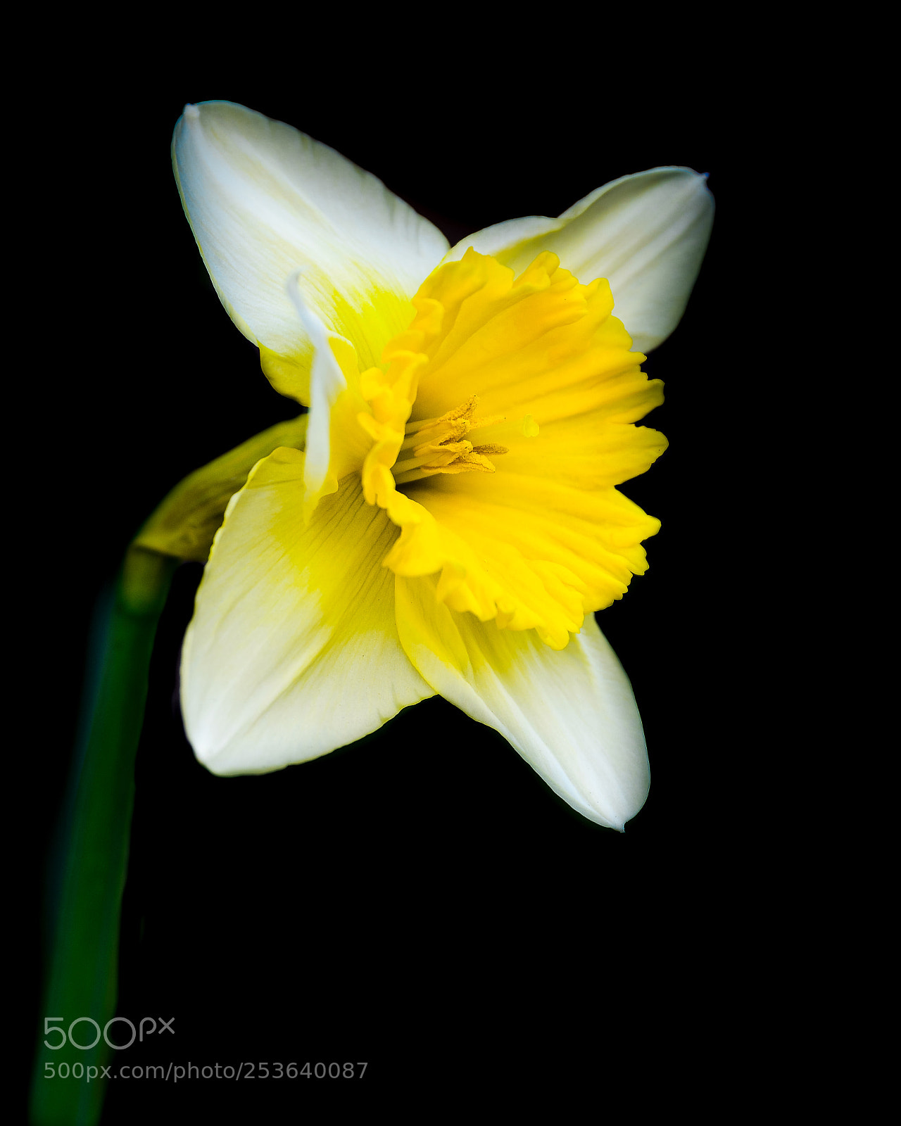 Nikon D7100 sample photo. Floating photography
