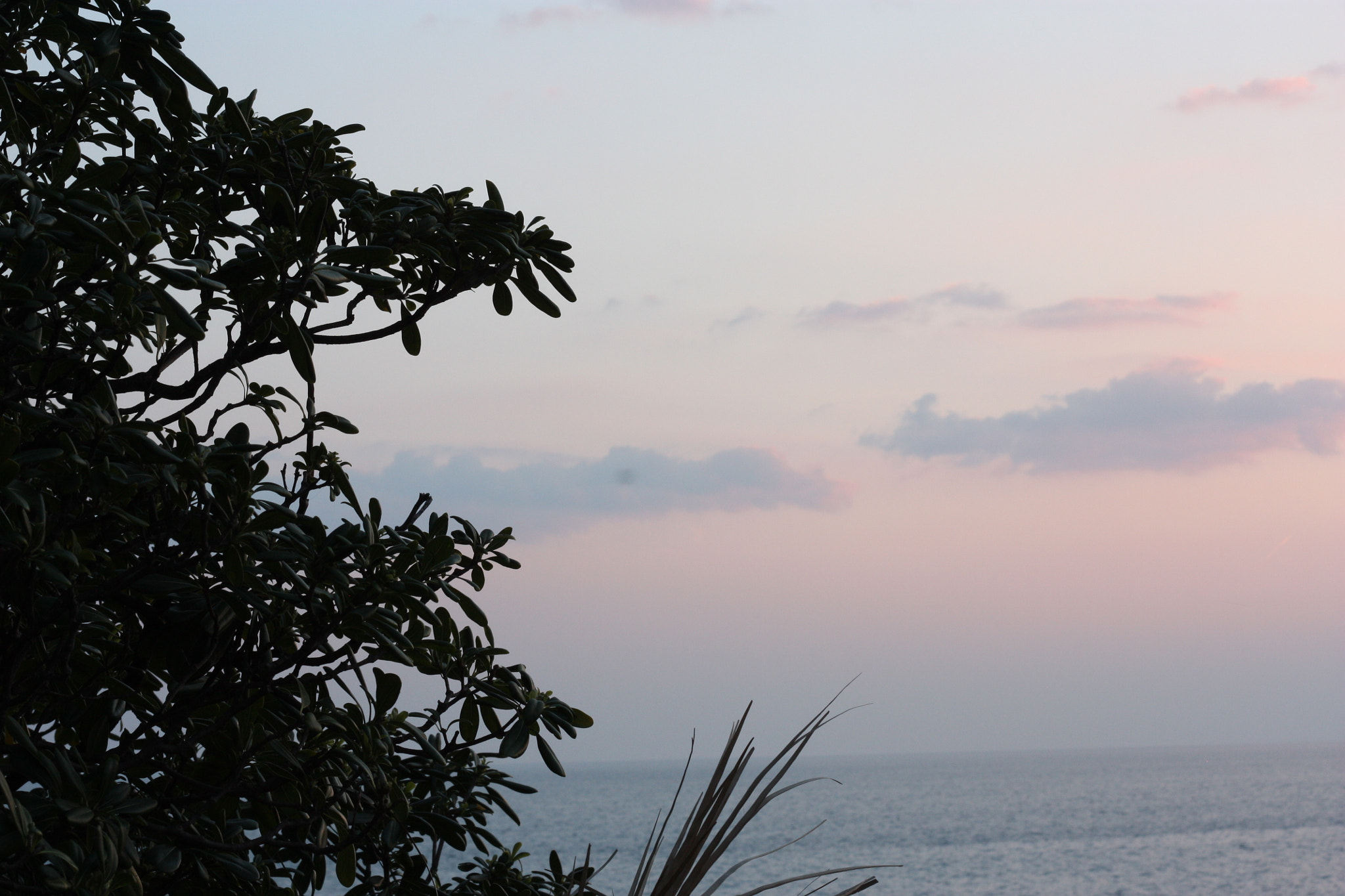 Canon EOS 450D (EOS Rebel XSi / EOS Kiss X2) sample photo. Al tramonto photography