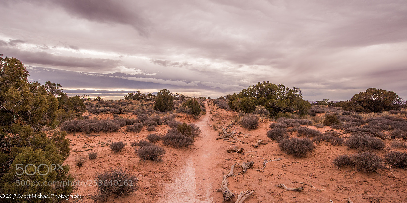 Nikon D810 sample photo. Desert trail photography
