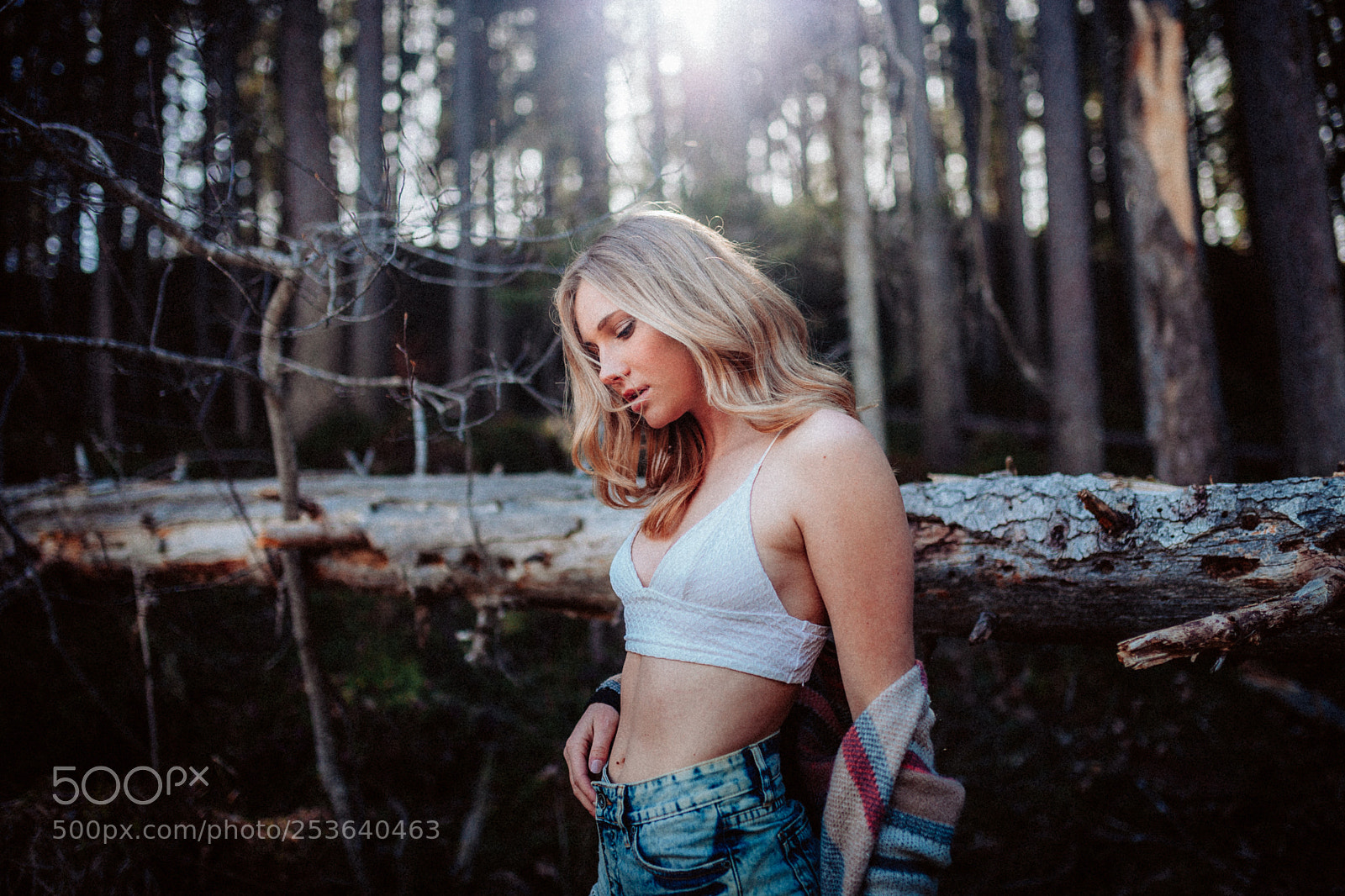 Canon EOS 5D Mark II sample photo. Lonely in the forest photography